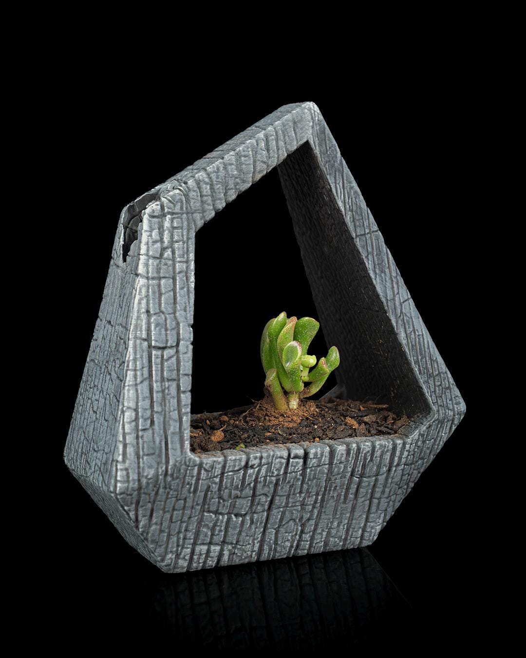 3D Printed Self-Watering Geometric Planter | Obsidian Frame | Modern Desk Decor |