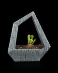 3D Printed Self-Watering Geometric Planter | Obsidian Frame | Modern Desk Decor |
