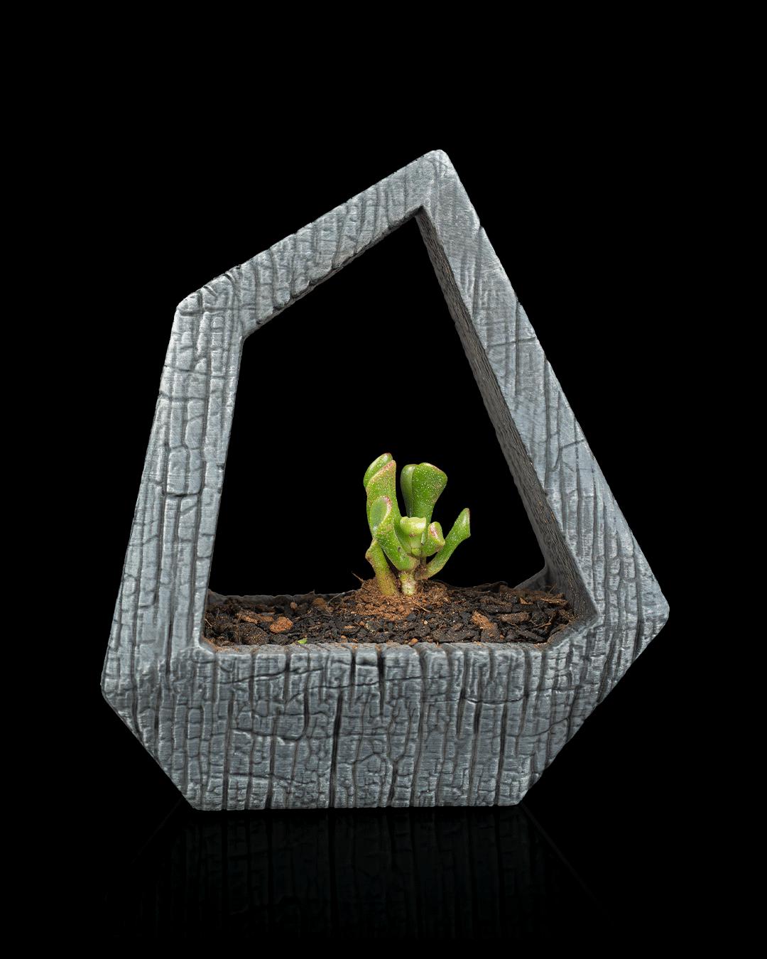 3D Printed Self-Watering Geometric Planter | Obsidian Frame | Modern Desk Decor |