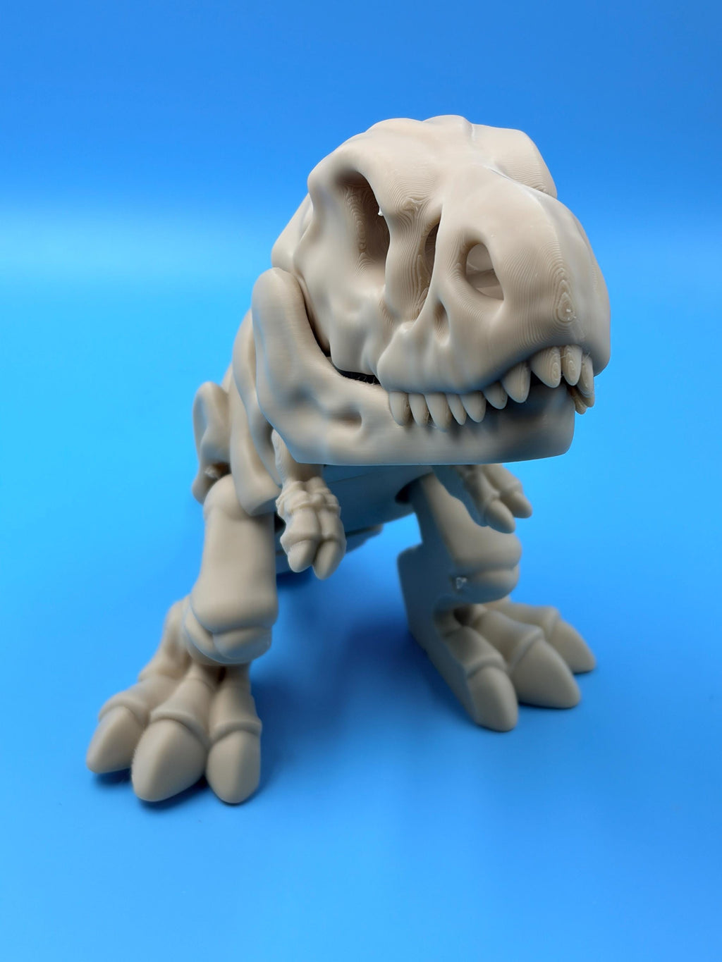 Articulated Dinosaur Figures | Poseable T-Rex, Triceratops & Velociraptor Fidget Toys | 3D Printed Gift for Kids & Collectors