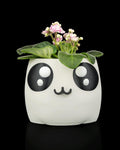 3D Printed Bloop Face Planter | Cute Panda Pot | Kawaii Succulent Holder | Desk Decor
