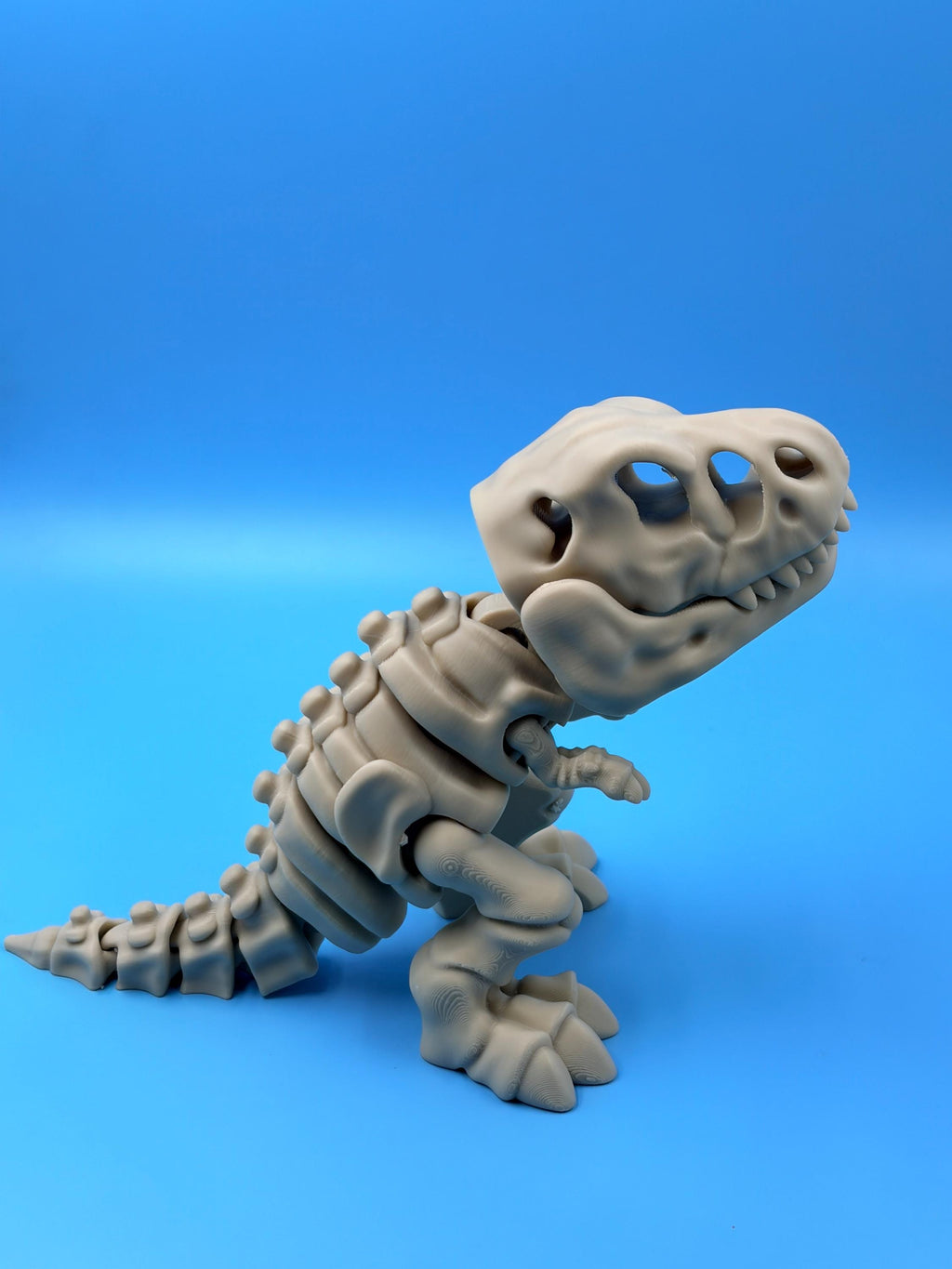 Articulated Dinosaur Figures | Poseable T-Rex, Triceratops & Velociraptor Fidget Toys | 3D Printed Gift for Kids & Collectors