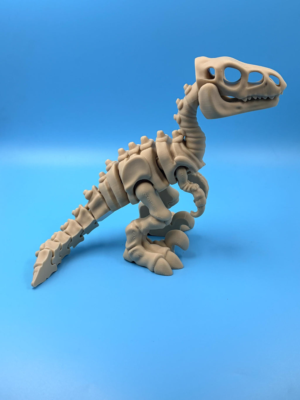Articulated Dinosaur Figures | Poseable T-Rex, Triceratops & Velociraptor Fidget Toys | 3D Printed Gift for Kids & Collectors