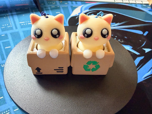 3D Printed Cat in Box Fidget Clicker | Kitten Sensory Toy, Desk Buddy ASMR Clicker